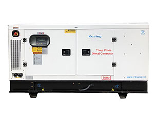 Generador diesel Lovol PK30400